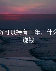 什么期货可以持有一年，什么期货最赚钱