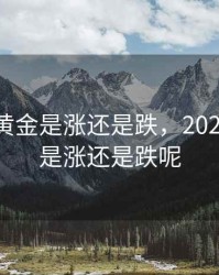 2020年黄金是涨还是跌，2020年黄金是涨还是跌呢