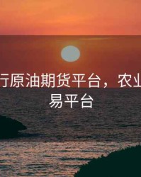 农业银行原油期货平台，农业期货交易平台