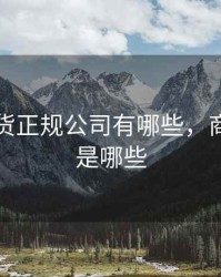 商品期货正规公司有哪些，商品期货是哪些