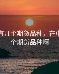在中古有几个期货品种，在中古有几个期货品种啊
