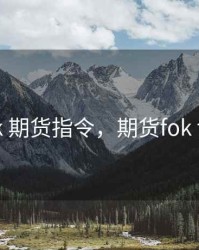 fak 期货指令，期货fok fak