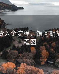 银河期货入金流程，银河期货入金流程图