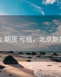 北大 期货 亏损，北京期货班