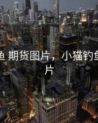 小猫钓鱼 期货图片，小猫钓鱼小猫图片