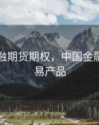 中国金融期货期权，中国金融期货交易产品