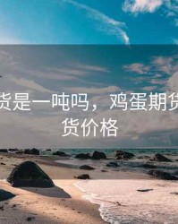 鸡蛋期货是一吨吗，鸡蛋期货对应现货价格