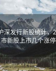 2020年沪深发行新股统计，2020年沪市新股上市几个涨停