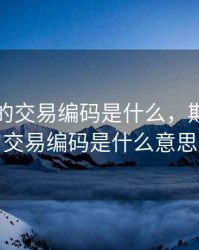 期货中的交易编码是什么，期货中的交易编码是什么意思