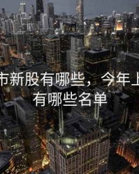 今年上市新股有哪些，今年上市新股有哪些名单