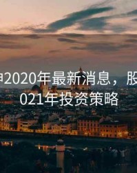 林园股神2020年最新消息，股神林园2021年投资策略