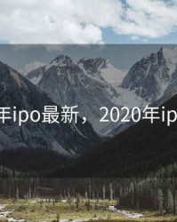 2020年ipo最新，2020年ipo情况