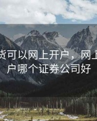 什么期货可以网上开户，网上期货开户哪个证券公司好