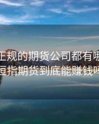 做恒指正规的期货公司都有哪些，做恒指期货到底能赚钱吗