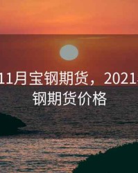 2018年11月宝钢期货，2021年5月宝钢期货价格
