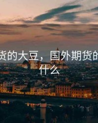 国外期货的大豆，国外期货的大豆是什么