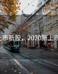 2020上市新股，2020新上市的a股