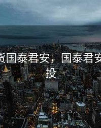 中信期货国泰君安，国泰君安 中信建投