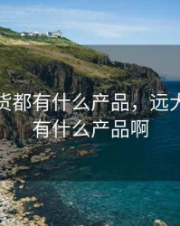 远大期货都有什么产品，远大期货都有什么产品啊