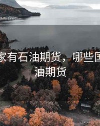 几个国家有石油期货，哪些国家有原油期货