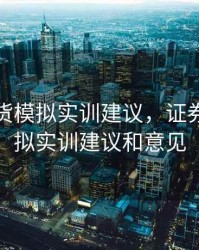 证券期货模拟实训建议，证券期货模拟实训建议和意见