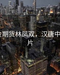 汉唐中金期货林凤双，汉唐中金ceo照片