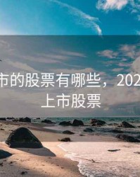 2020上市的股票有哪些，2020年即将上市股票