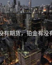 铂金有没有期货，铂金有没有期货的