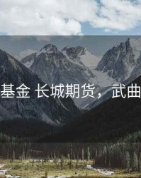 武曲星基金 长城期货，武曲星速配