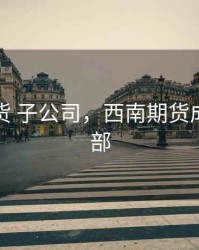 西南期货 子公司，西南期货成都营业部