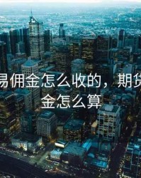 期货交易佣金怎么收的，期货交易佣金怎么算