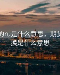 期货里的ru是什么意思，期货里的空换是什么意思