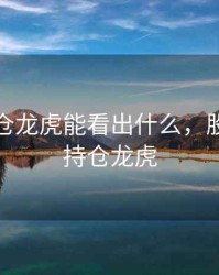 期货持仓龙虎能看出什么，股指期货持仓龙虎