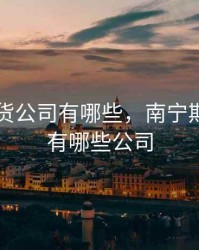 南宁期货公司有哪些，南宁期货公司有哪些公司