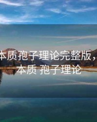 期货的本质孢子理论完整版，期货的本质 孢子理论