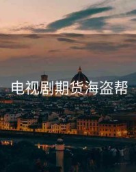 电视剧期货海盗帮