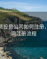 股票期货投资公司如何注册，期货公司注册流程