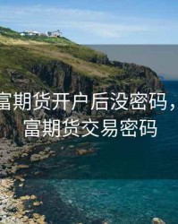 东方财富期货开户后没密码，东方财富期货交易密码