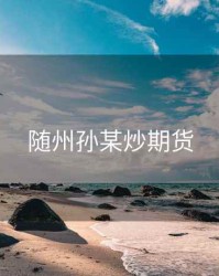 随州孙某炒期货