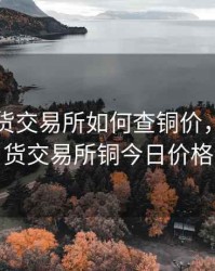 上海期货交易所如何查铜价，上海期货交易所铜今日价格
