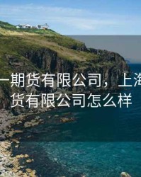 上海中一期货有限公司，上海中一期货有限公司怎么样