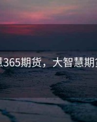 大智慧365期货，大智慧期货行情