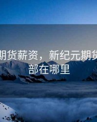 新纪元期货薪资，新纪元期货公司总部在哪里