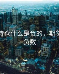 期货为持仓什么是负的，期货持仓是负数