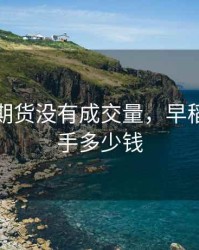 早籼稻期货没有成交量，早稻期货一手多少钱