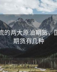 国际主流的两大原油期货，国际原油期货有几种