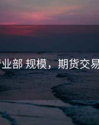 期货 营业部 规模，期货交易营业部