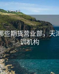 天津有哪些期货营业部，天津期货培训机构