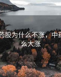 2020中药股为什么不涨，中药股为什么大涨