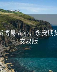 永安期货博易 app，永安期货博易云交易版